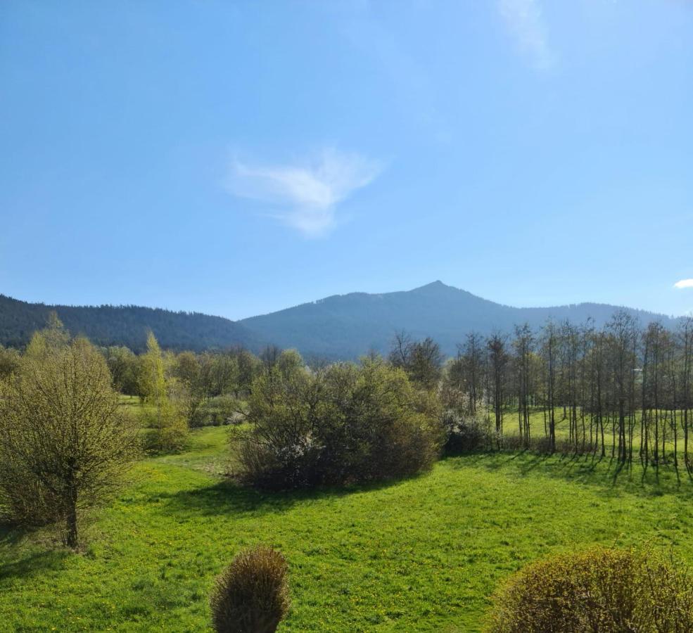 Ferienwohnung Hoamat Schmalzreich Andrea แลม ภายนอก รูปภาพ
